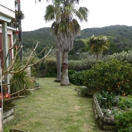 Great Barrier Oasis Lodge Tryphena Exterior foto